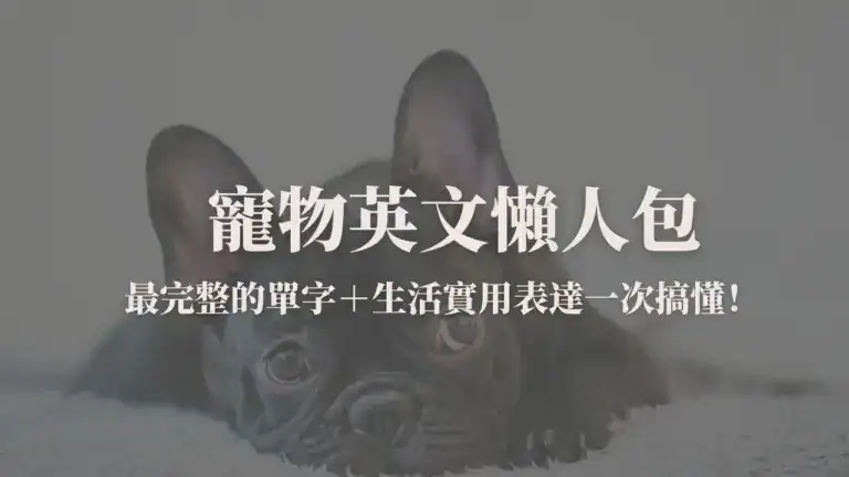 寵物英文封面圖：最完整的寵物英文單字與實用表達