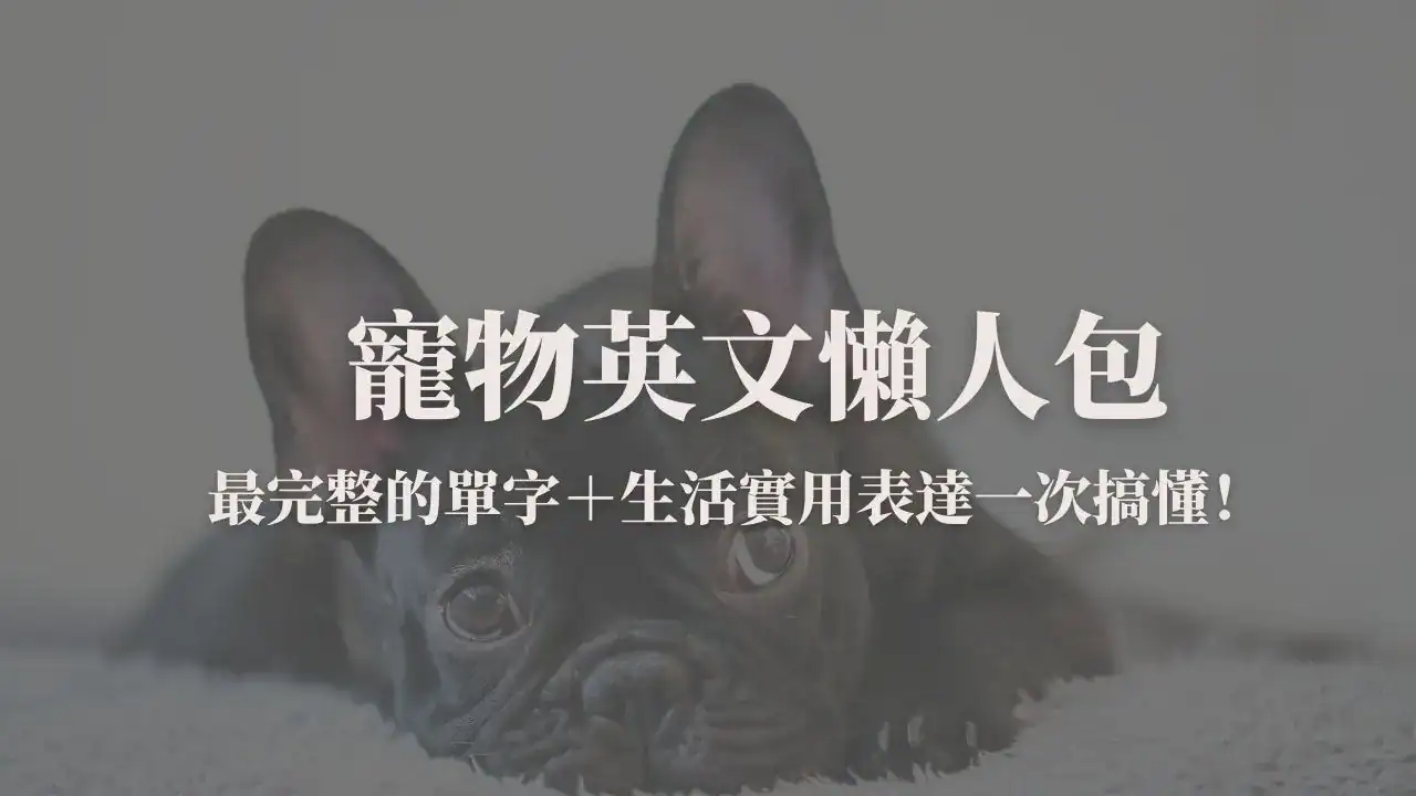 寵物英文封面圖：最完整的寵物英文單字與實用表達