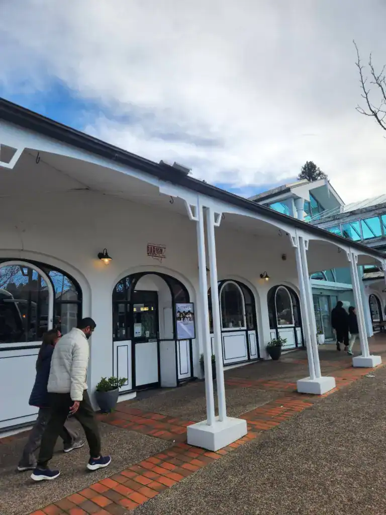 Blue-mountains-Katoomba-station