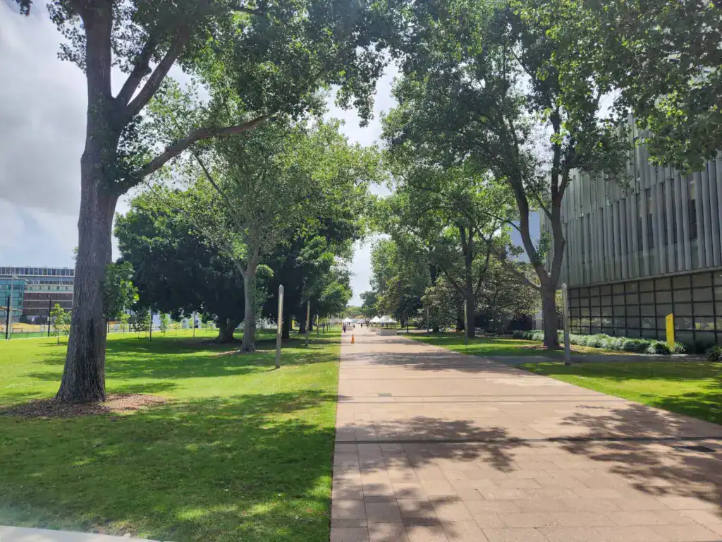 新南威爾斯大學校園主步道