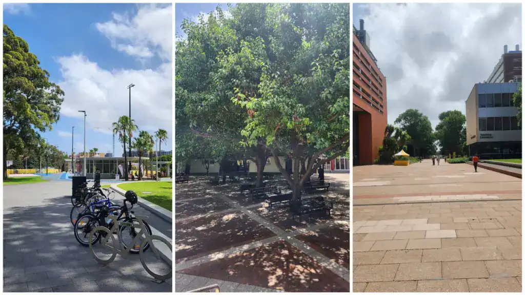 新南威爾斯大學 UNSW 校園戶外環境，包含樹蔭休息區和主要步道