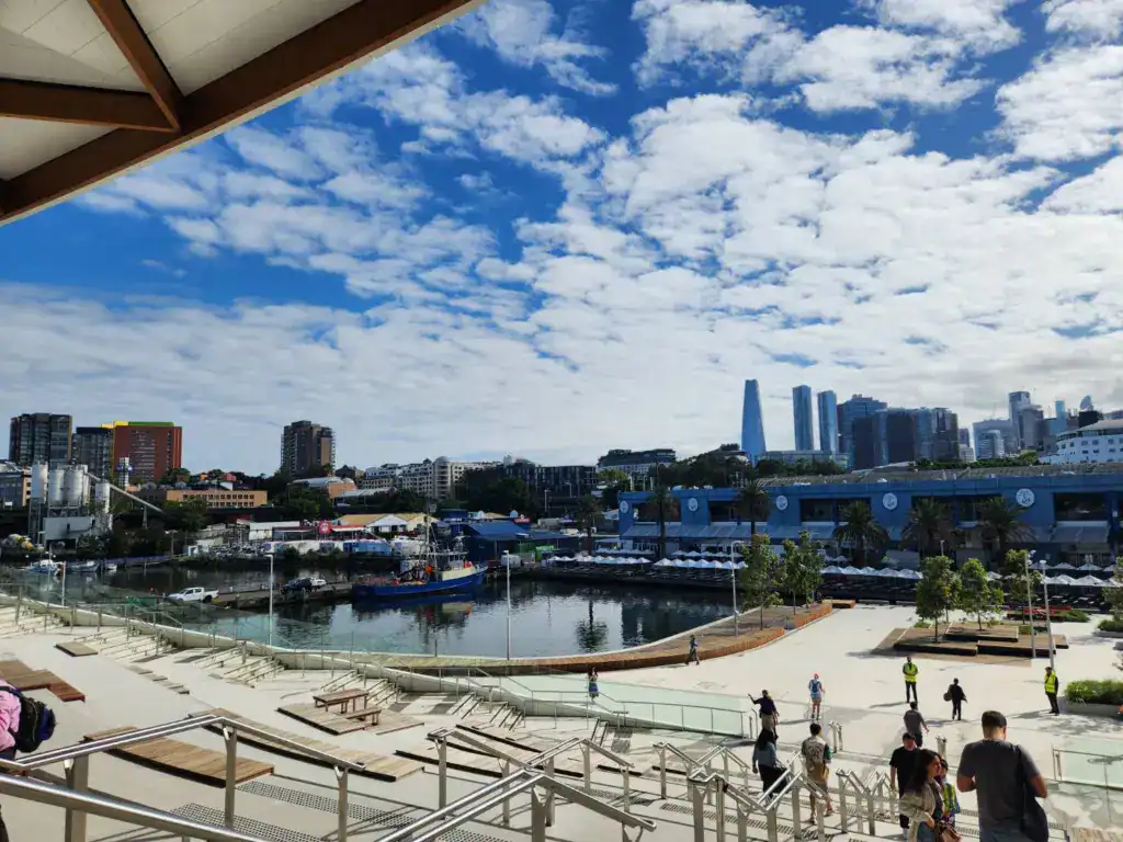 雪梨魚市場港灣景觀