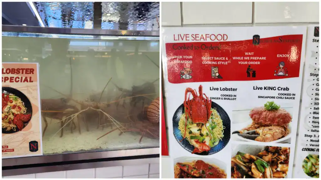 雪梨魚市場活龍蝦，現場挑選龍蝦