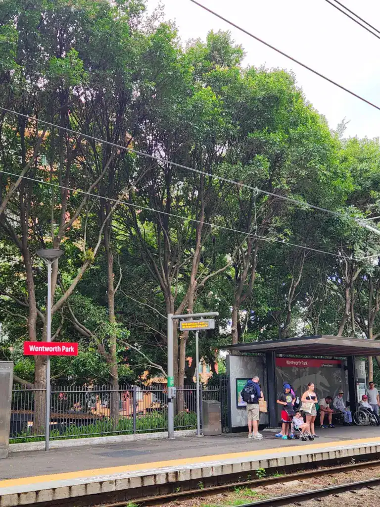 雪梨魚市場輕軌站